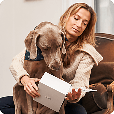 Foundation & Activation